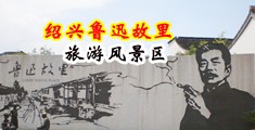 操逼ao视频中国绍兴-鲁迅故里旅游风景区
